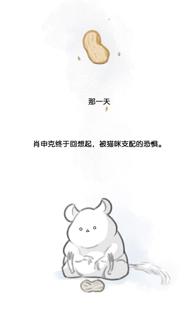 14 肖申克的救赎？9