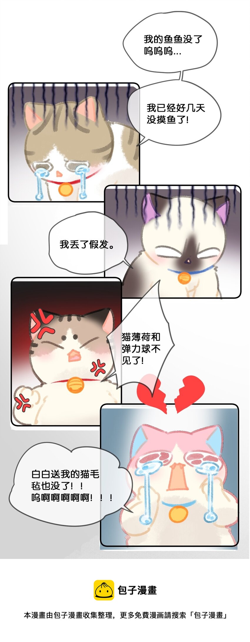 28 职场导师锅包又带出来的职场新猫！12