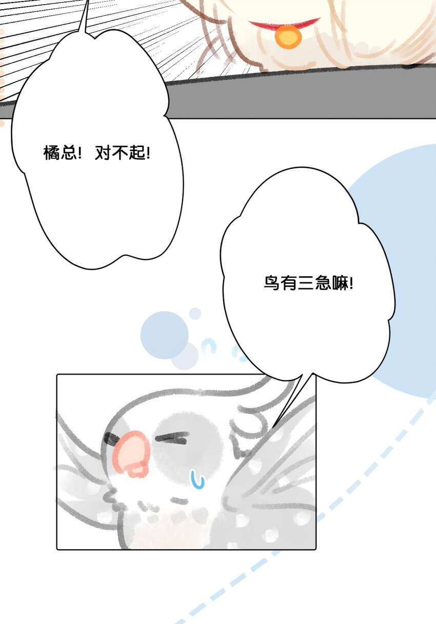 24 新员工在橘总头上拉屎？！7