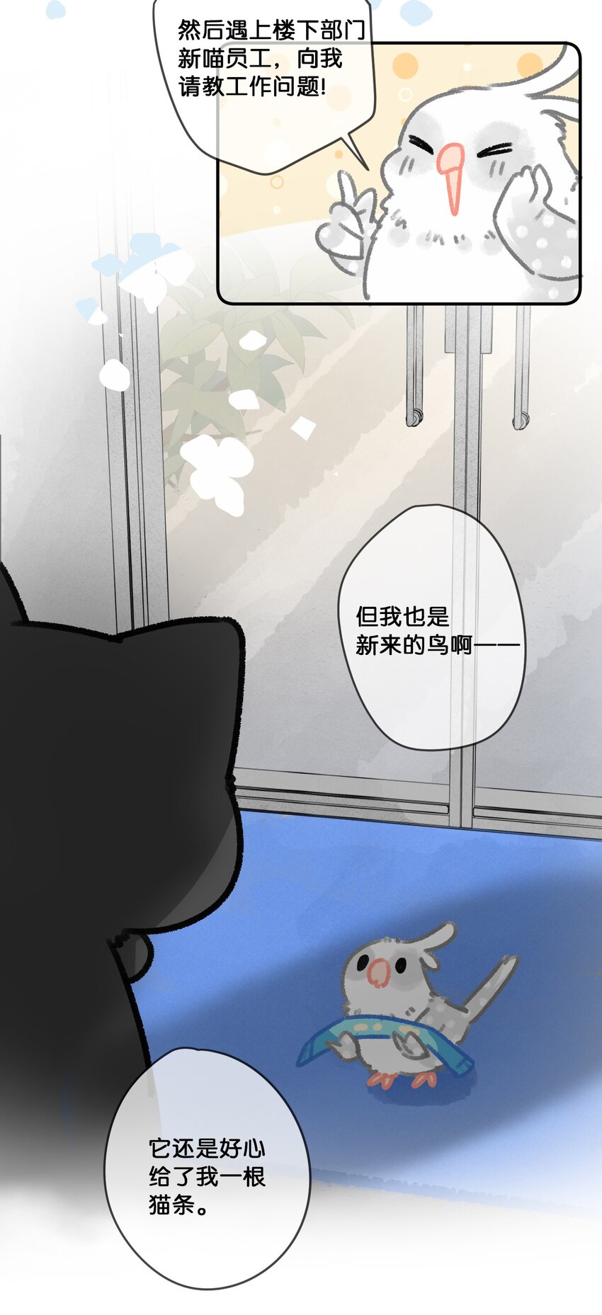 28 职场导师锅包又带出来的职场新猫！5