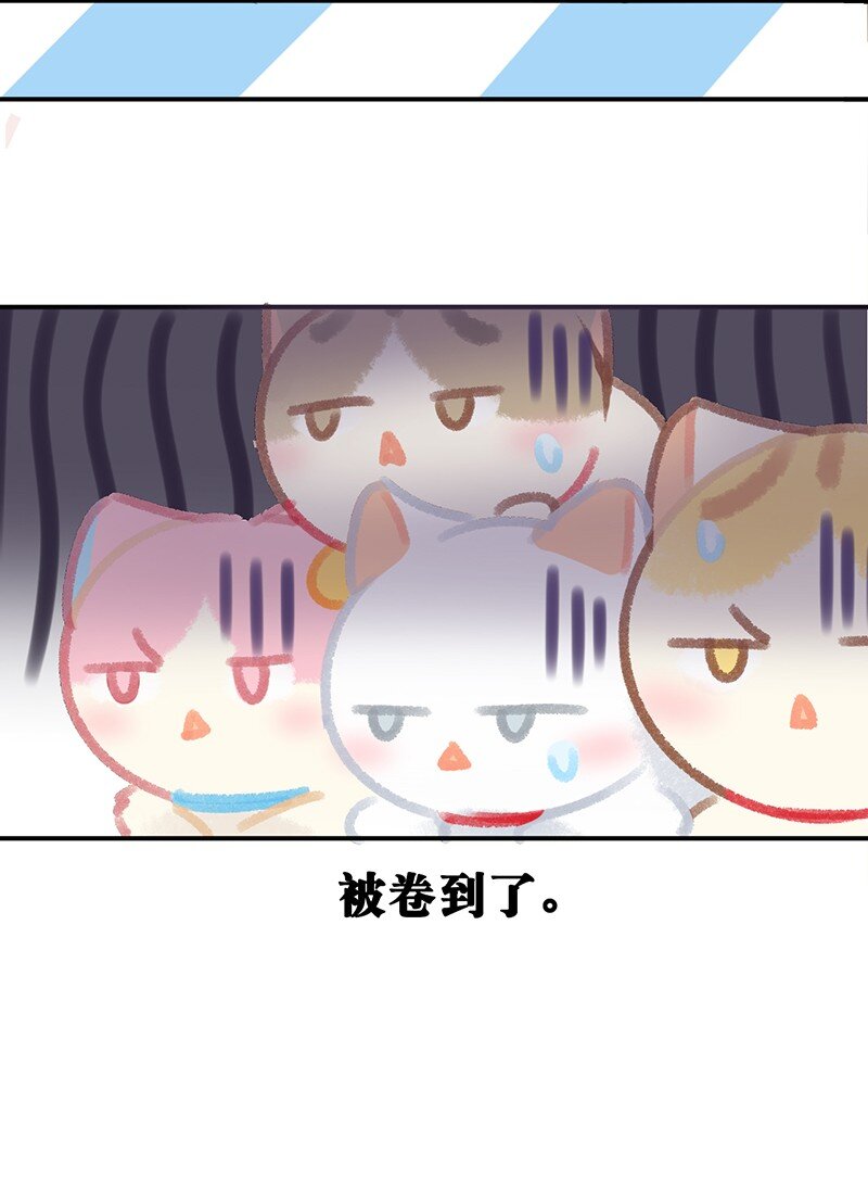 29 内卷之王王中王19