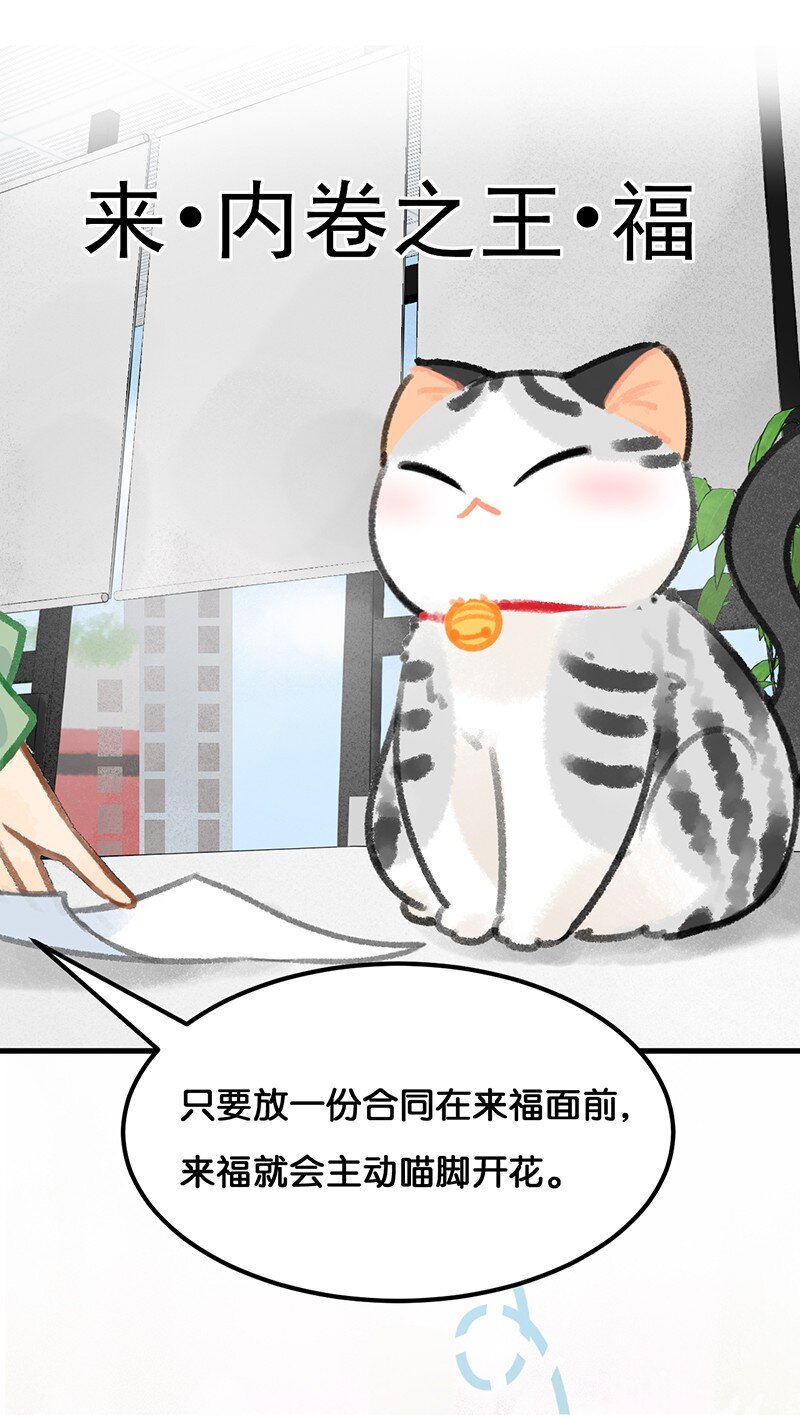 39 喵爪开花的办法！11