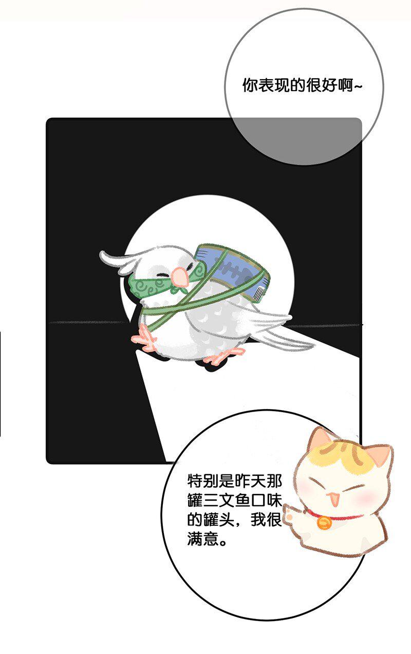 32 橘总对职场菜鸟的暖心鼓励4