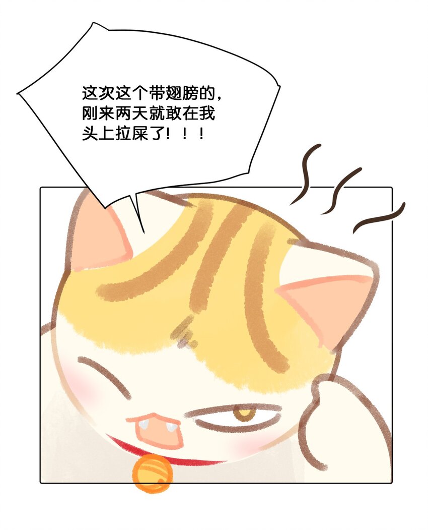 24 新员工在橘总头上拉屎？！11