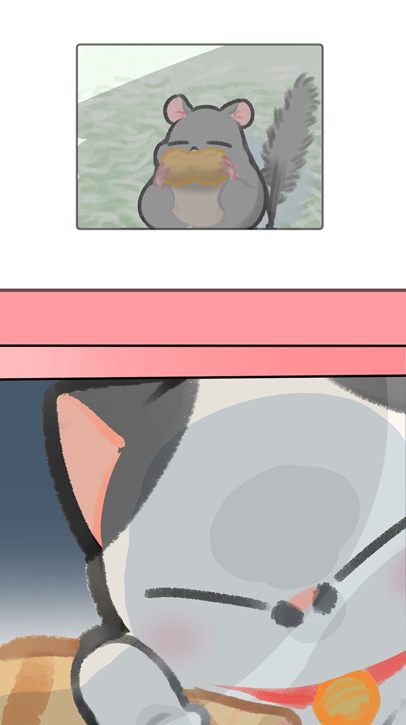 14 肖申克的救赎？7