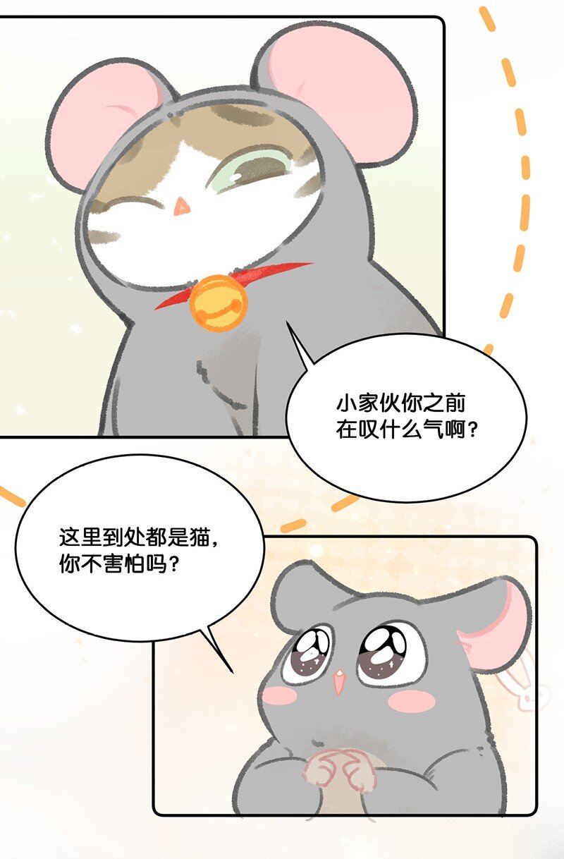 19 它好特别！我好喜欢！6