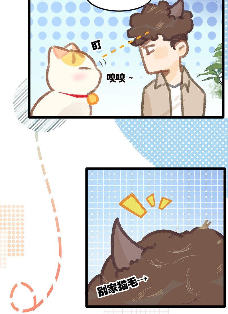 38 猫毛的多种用途？！16