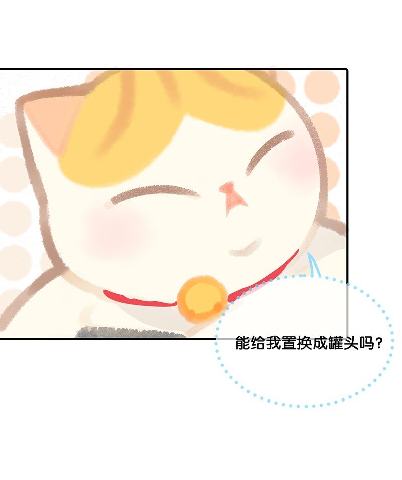 07 减肥是不可能减肥的！9