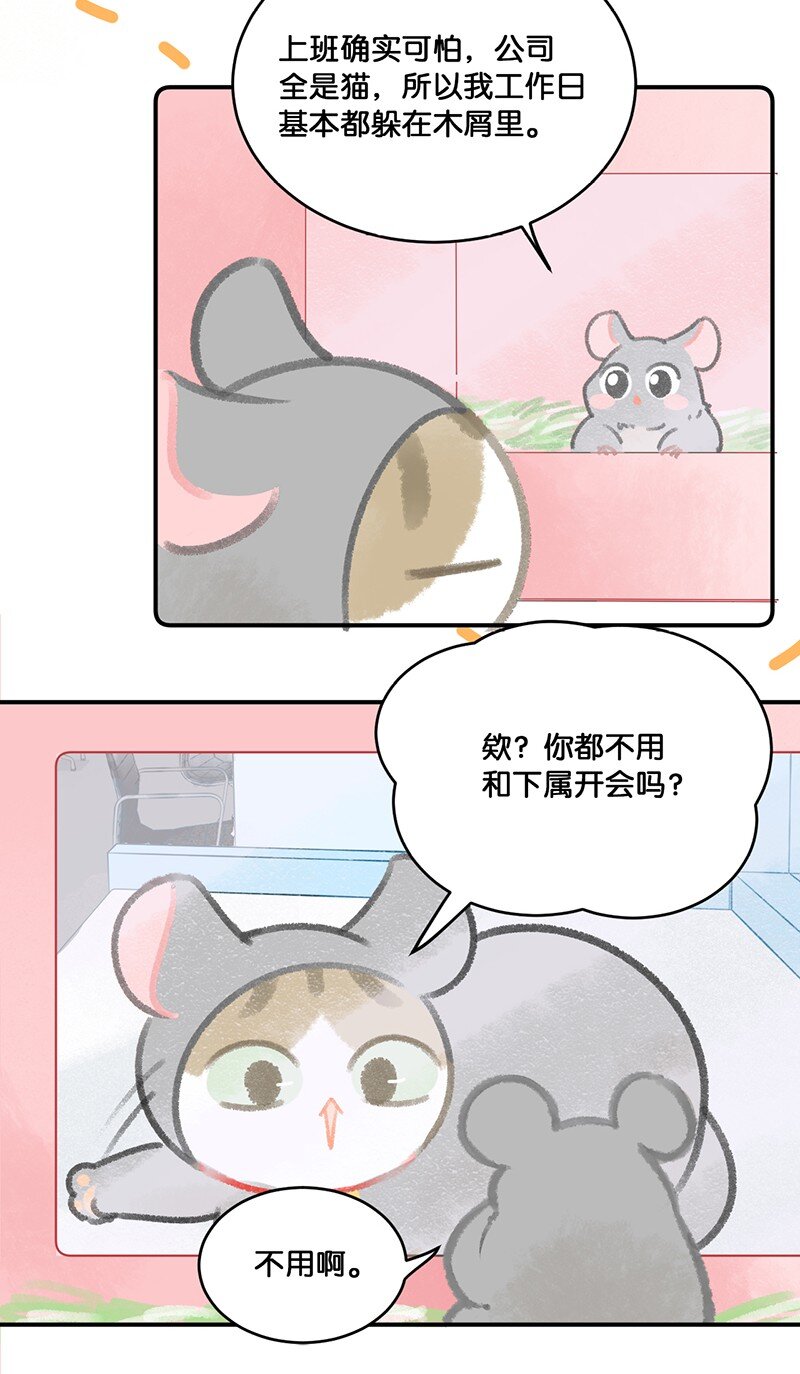 19 它好特别！我好喜欢！9