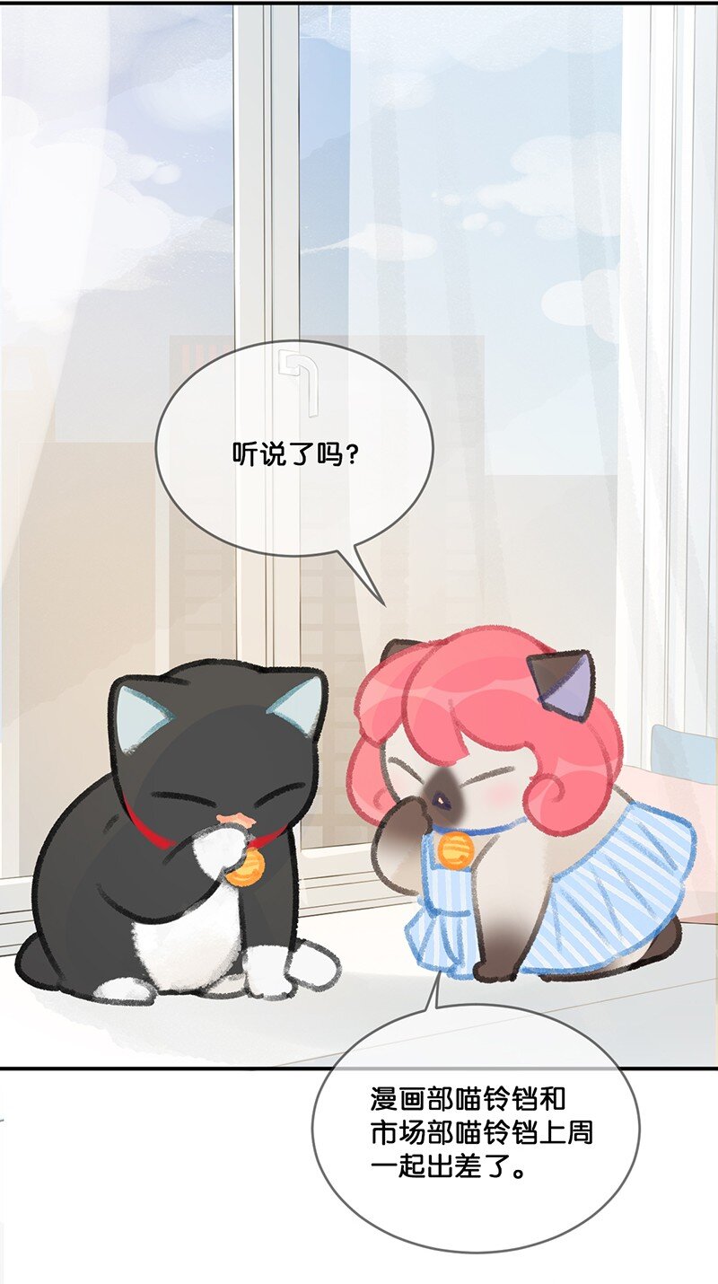 22 团建是密室逃脱和野外求生？3