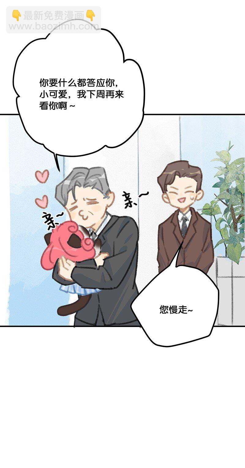 12 万能的喵铃铛？16
