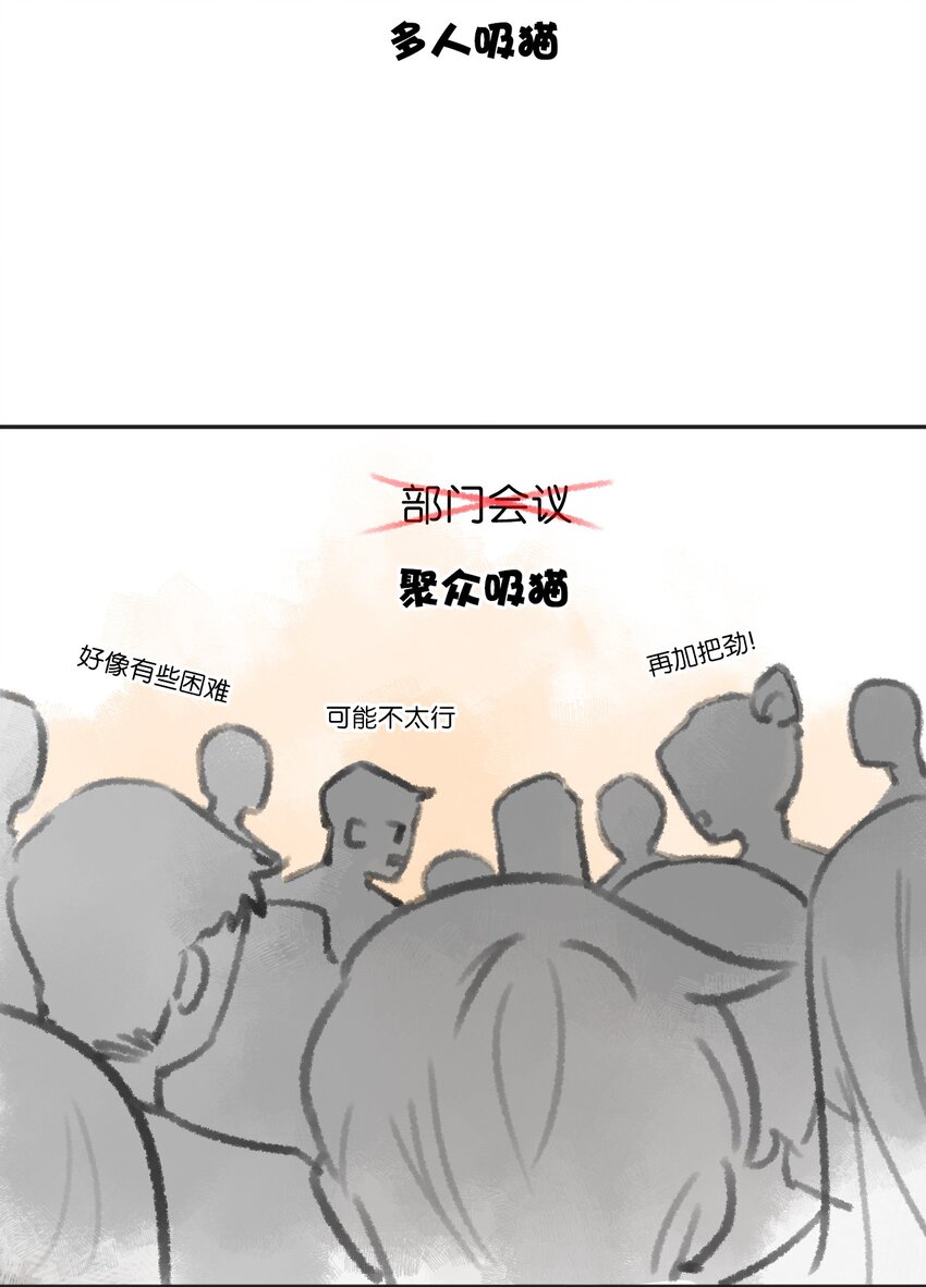 02 高管喵的日常9
