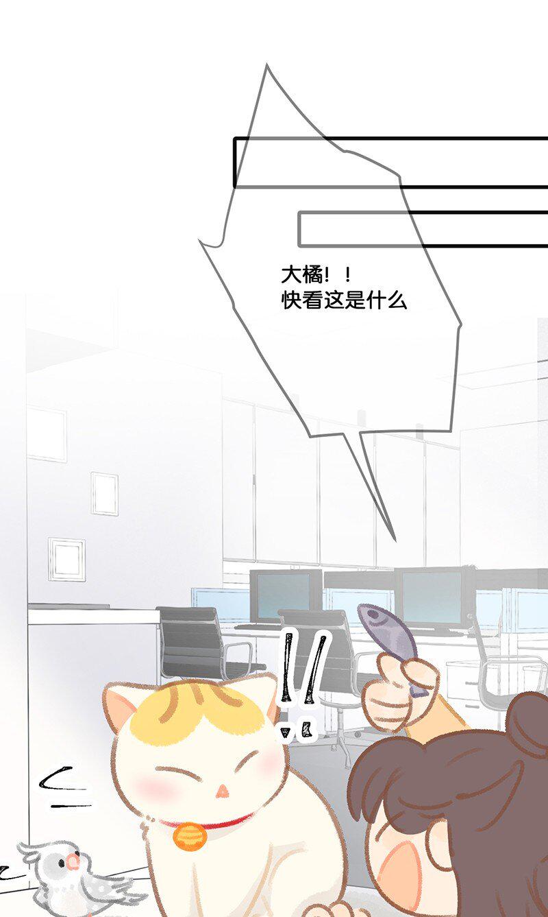 32 橘总对职场菜鸟的暖心鼓励6