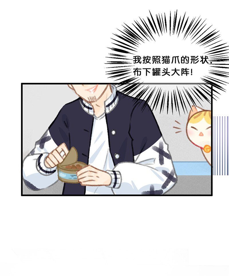 39 喵爪开花的办法！24