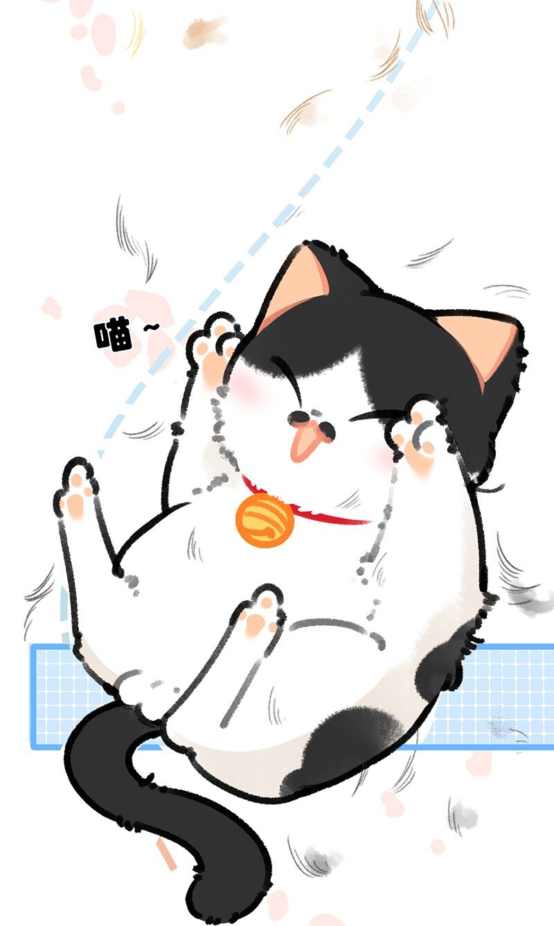38 猫毛的多种用途？！3