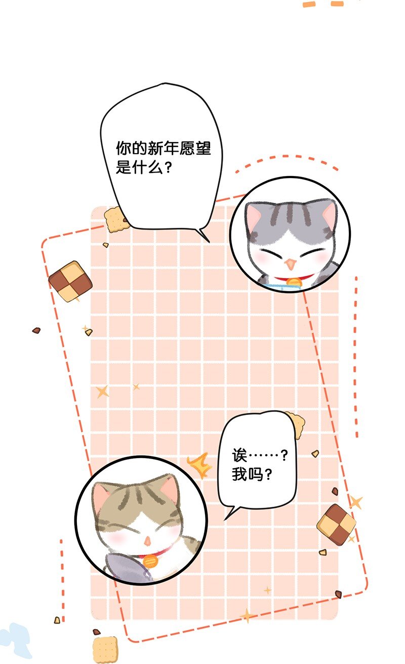 26 喵高管们的新年愿望？3