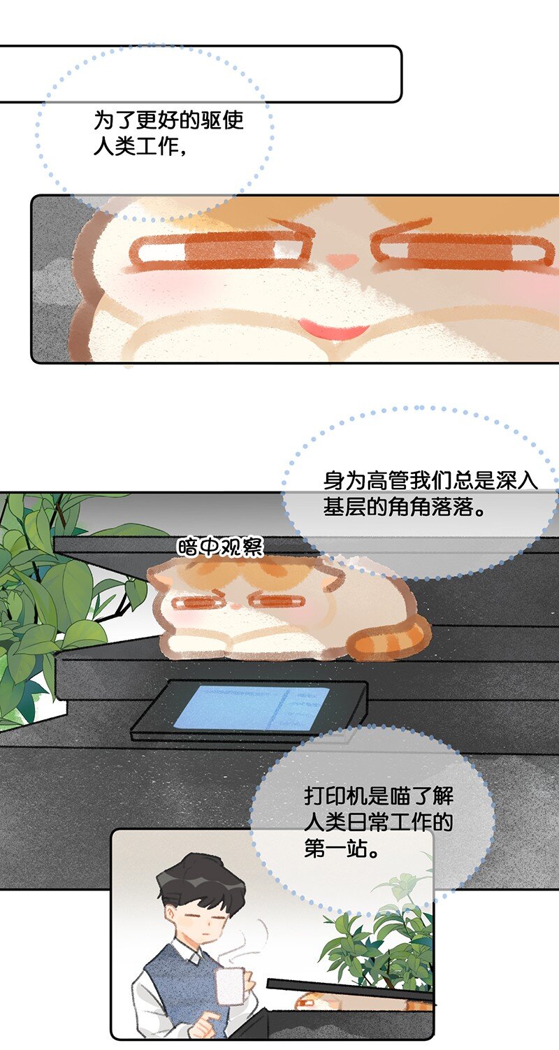 13 无处不在的“高管”2