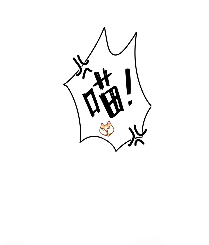 02 高管喵的日常11