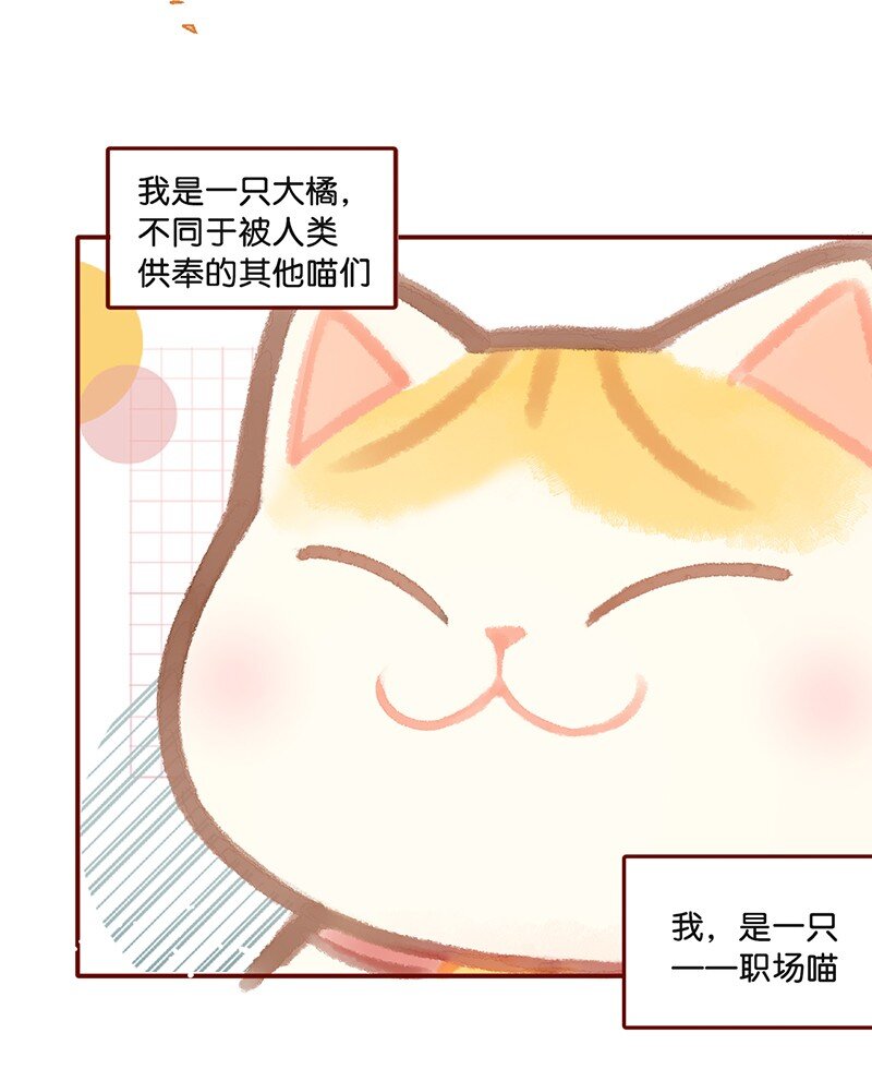 01 谁还不是个高管喵了？2