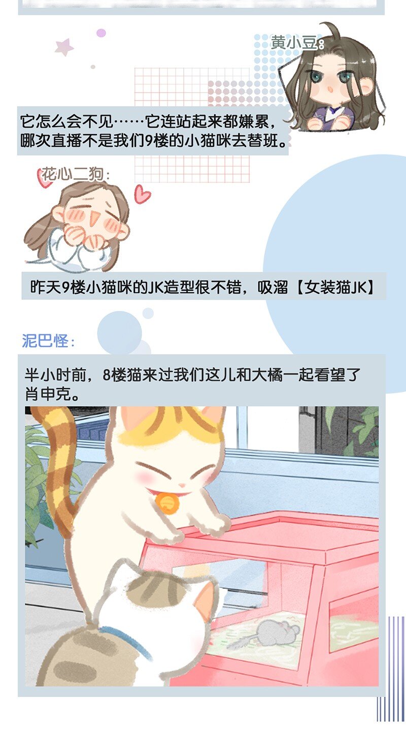 17 大橘和它双双失踪？！原因竟是……4