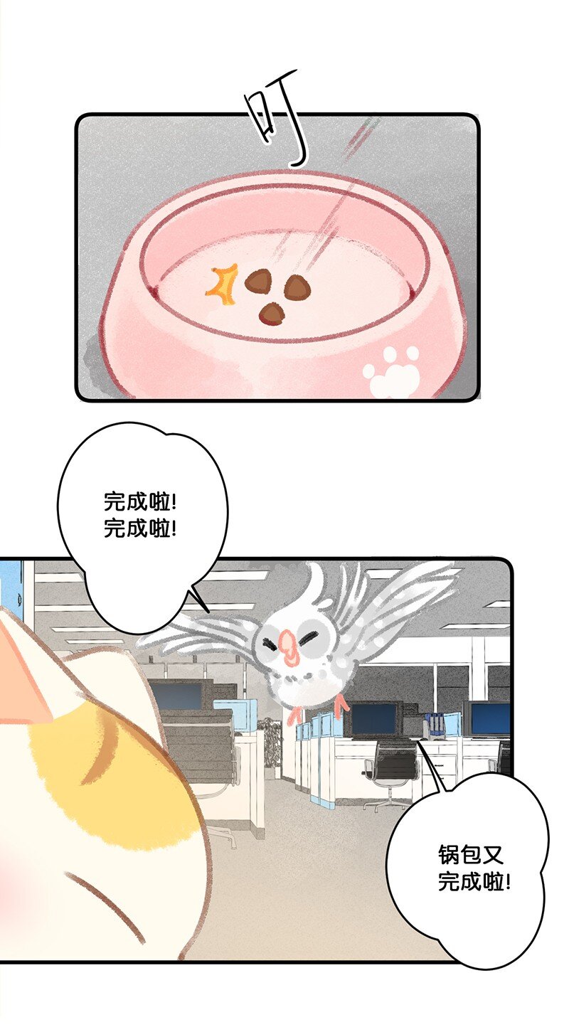 26 喵高管们的新年愿望？19
