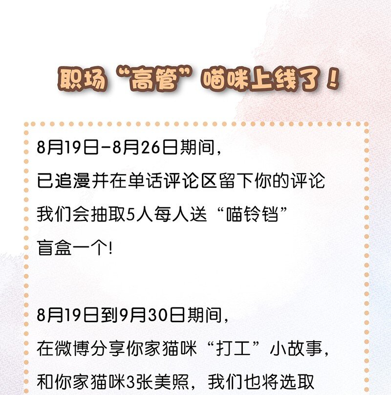 02 高管喵的日常17