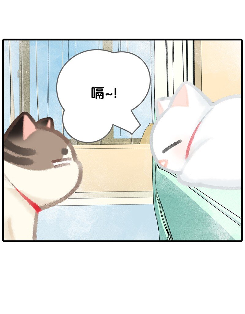 08 死宅的理由！5