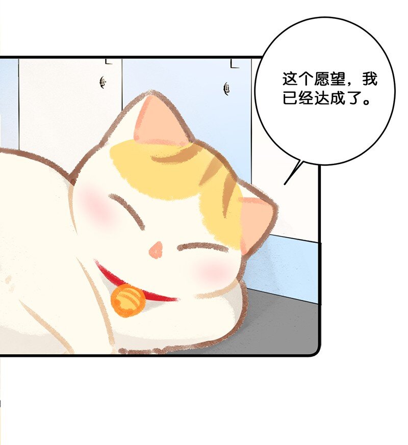 26 喵高管们的新年愿望？17