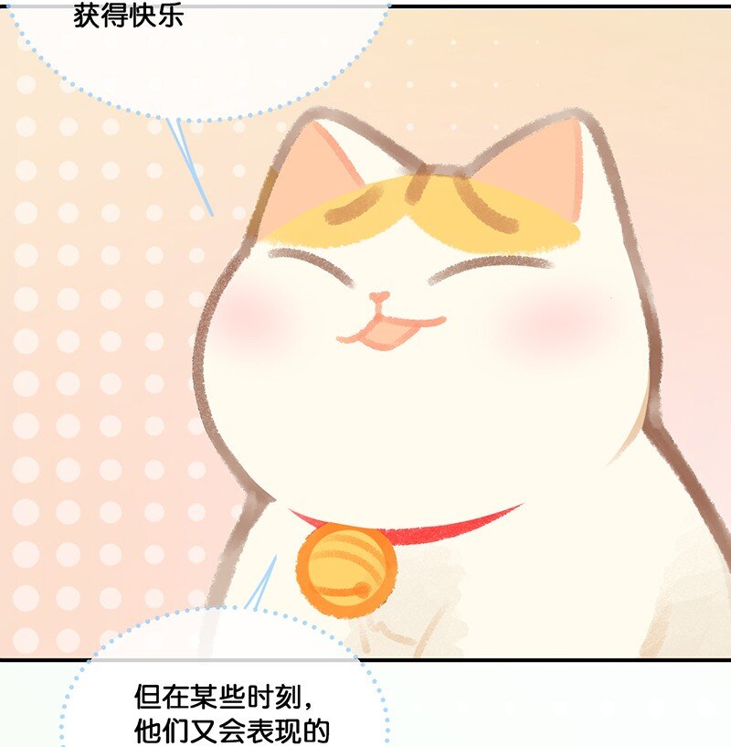 20 神秘的十一和十二月14