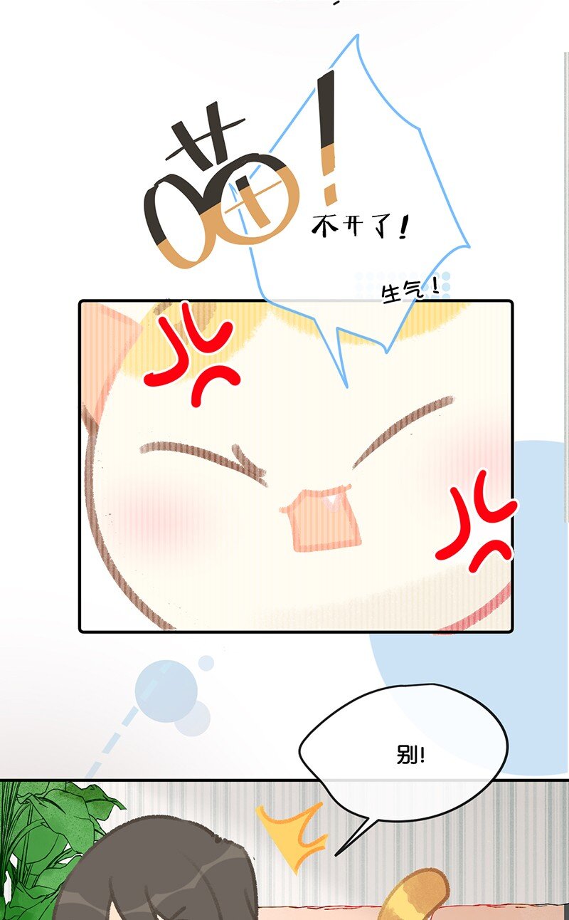 34居家办公开会真难13