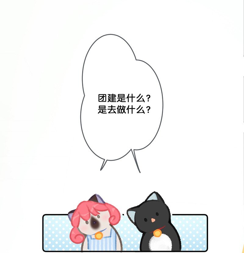 22 团建是密室逃脱和野外求生？11
