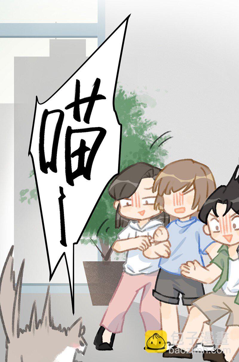 37 这个杀手——有点冷！11