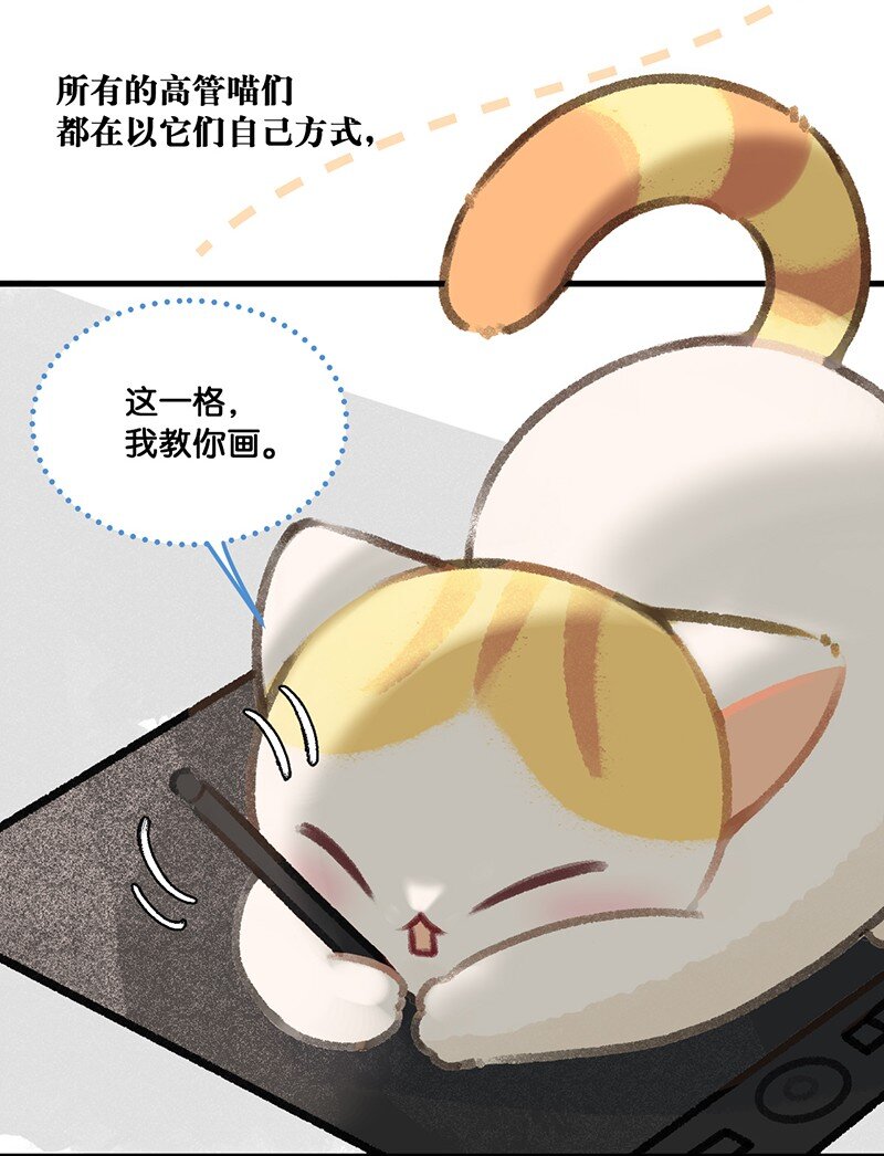 37 这个杀手——有点冷！3