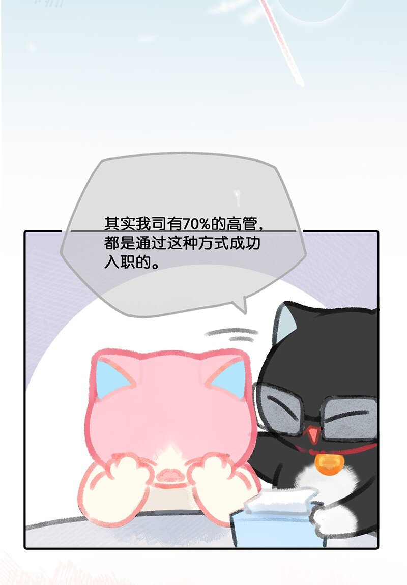 09 新“高管”入职……？14