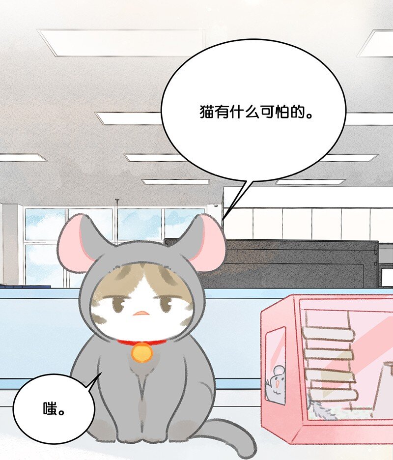 19 它好特别！我好喜欢！7