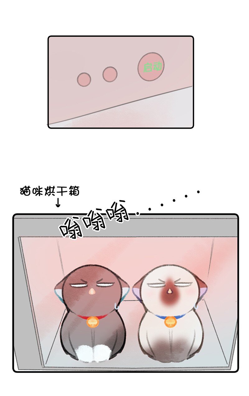 22 团建是密室逃脱和野外求生？20