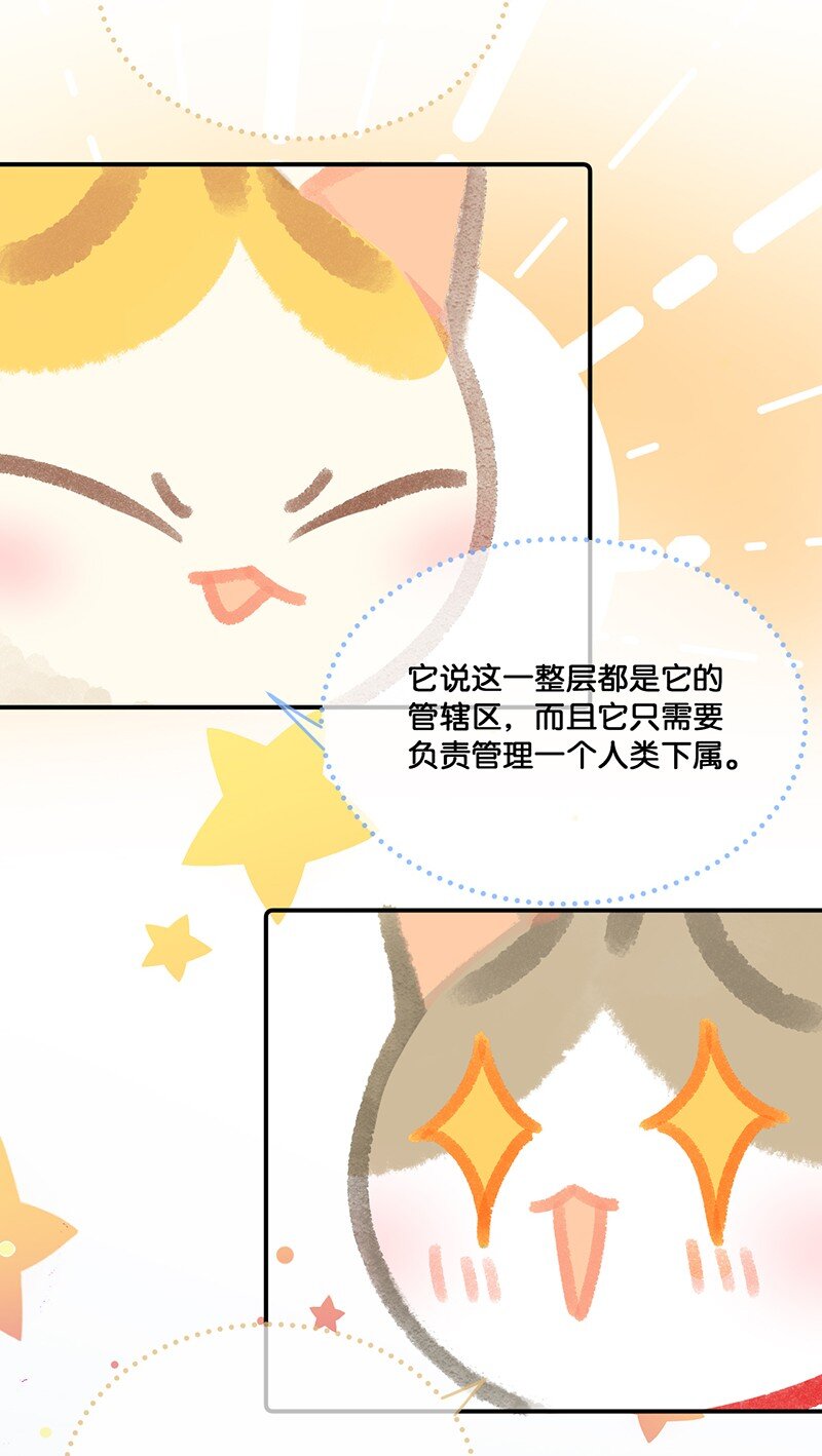 17 大橘和它双双失踪？！原因竟是……15