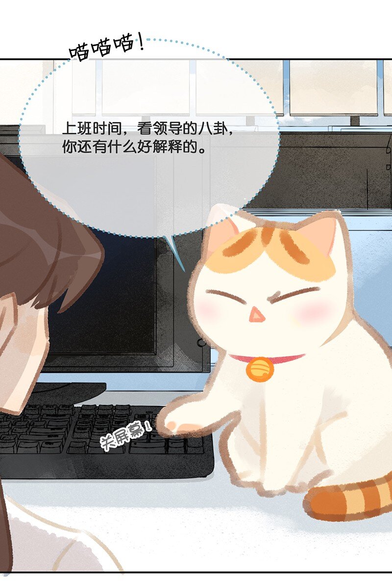 15 禁忌的办公室恋爱……13
