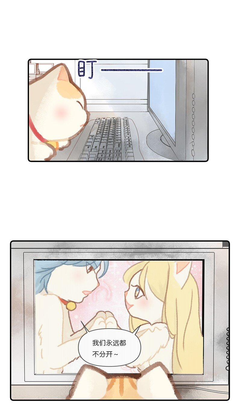 03 本喵工作的理由9