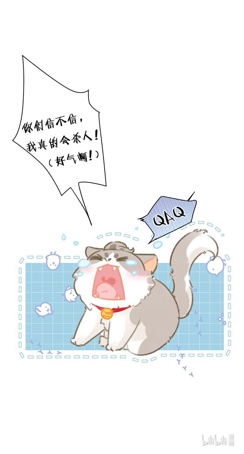 37 这个杀手——有点冷！19