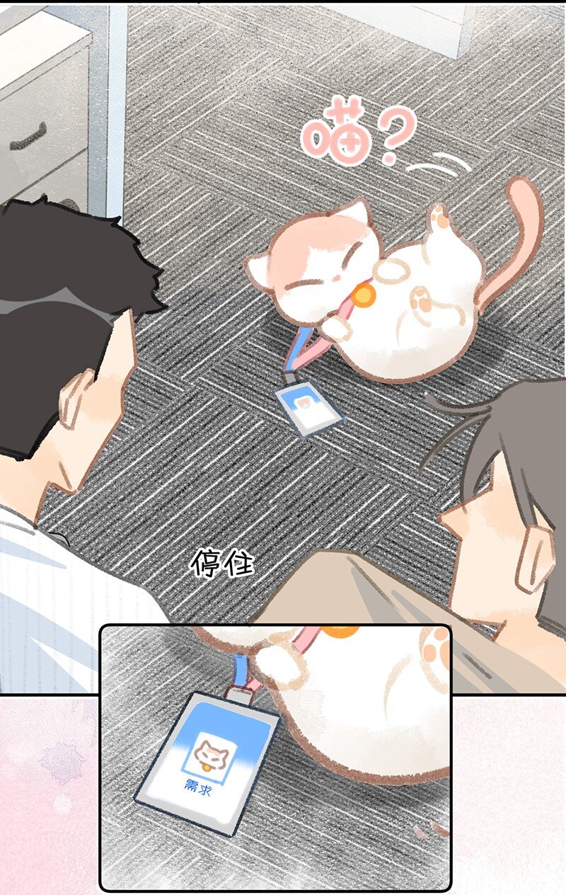 12 万能的喵铃铛？19