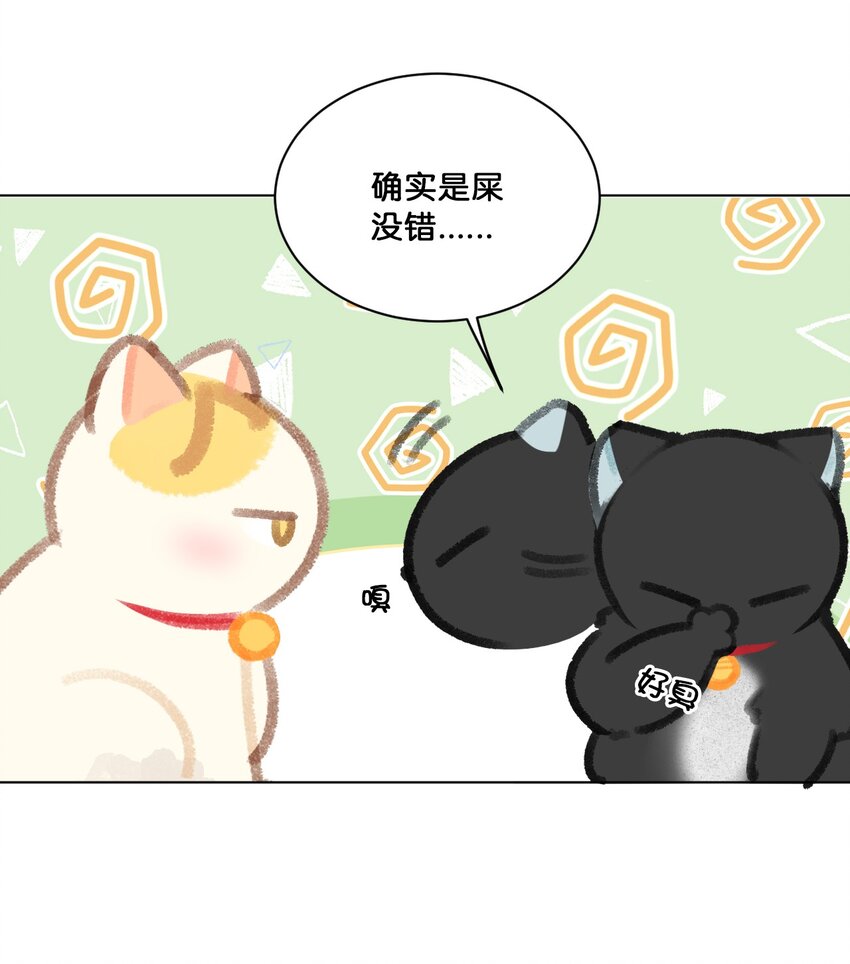24 新员工在橘总头上拉屎？！12