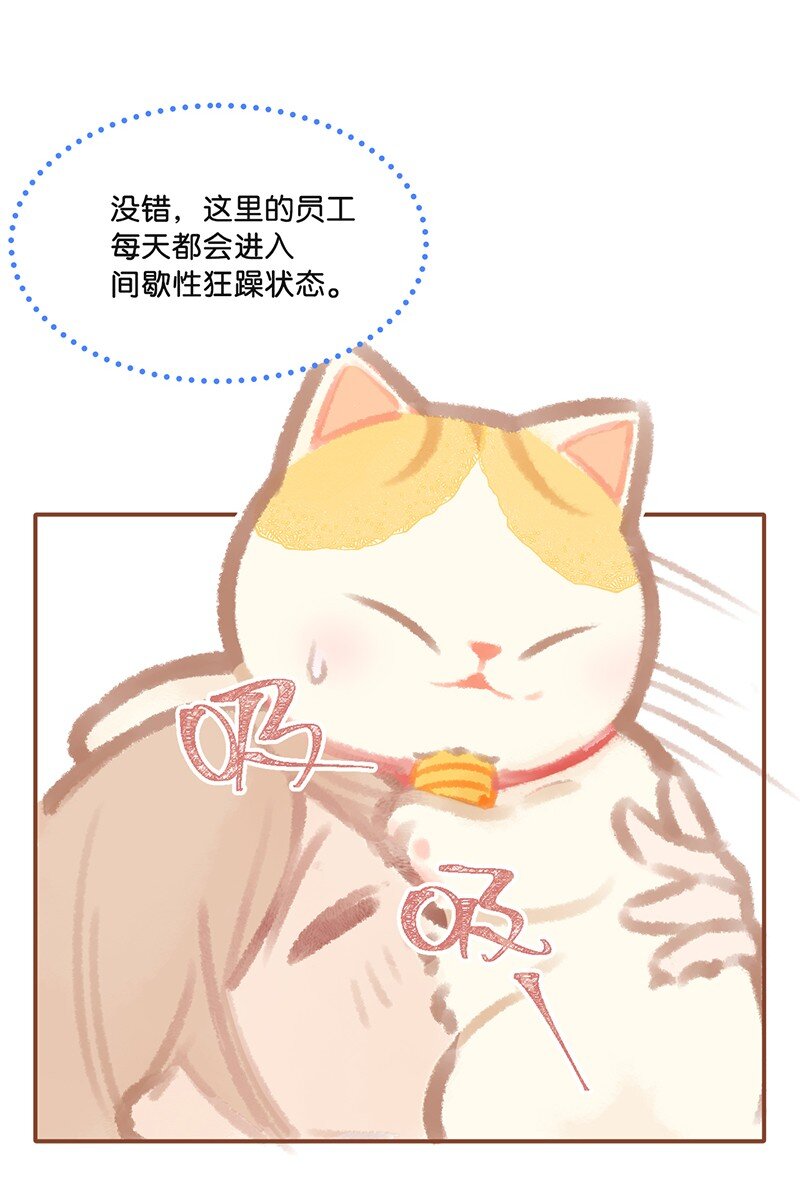 01 谁还不是个高管喵了？12