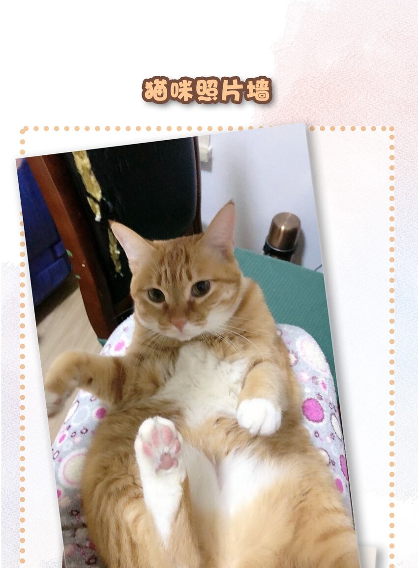 27 十万伏特喵！15