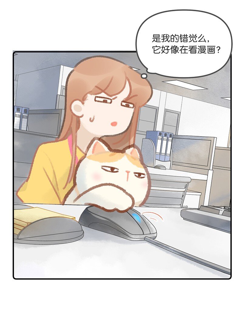 03 本喵工作的理由8