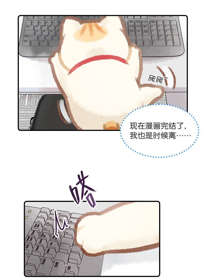 03 本喵工作的理由11