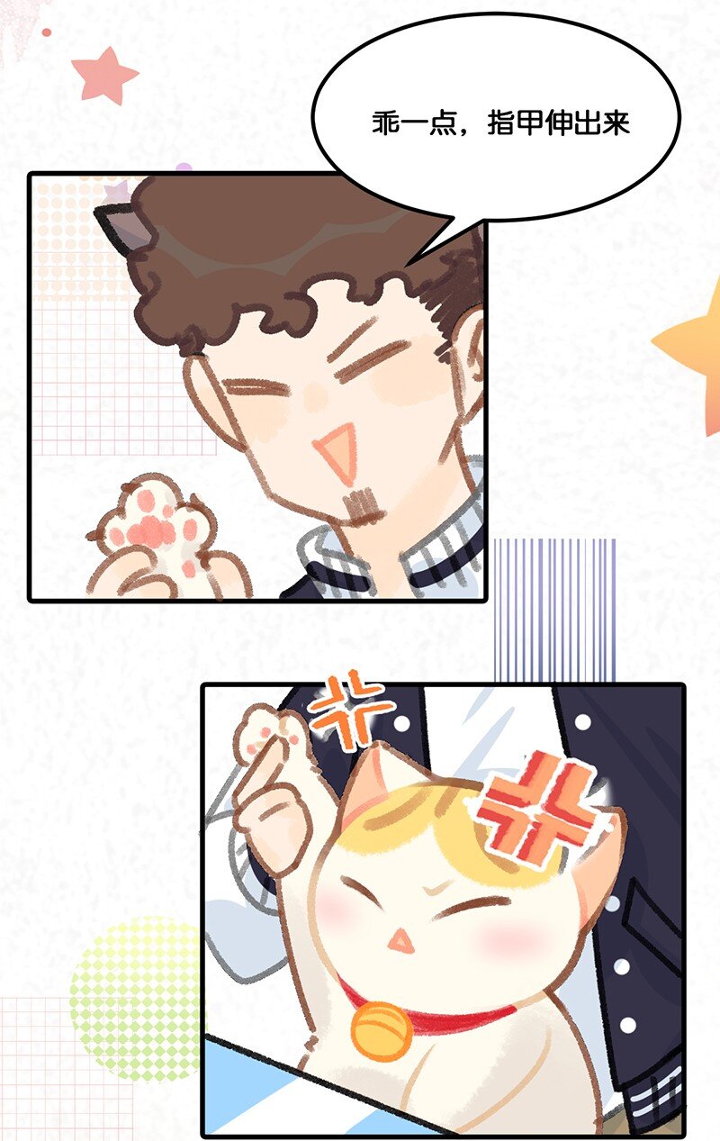 39 喵爪开花的办法！6
