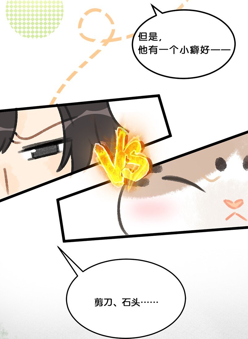 39 喵爪开花的办法！17