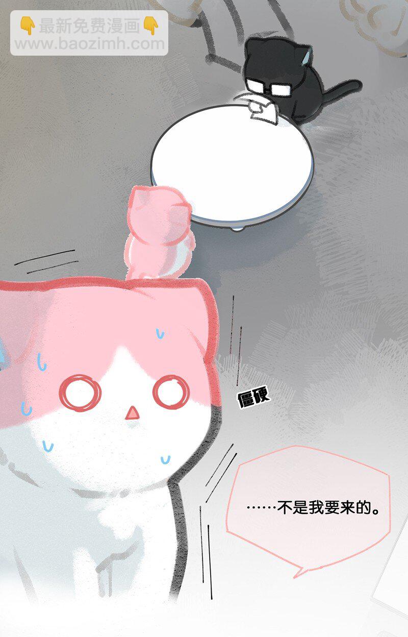 09 新“高管”入职……？4