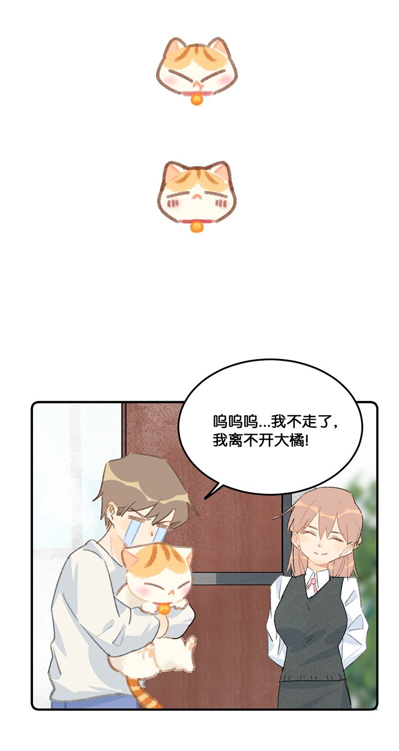 12 万能的喵铃铛？12
